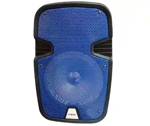 Cabina De Sonido 8" Cable Grabadora Microfono Jx16