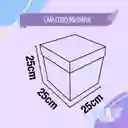 Caja Cubo*25 Cms Sopresa Oso Grande Cum33