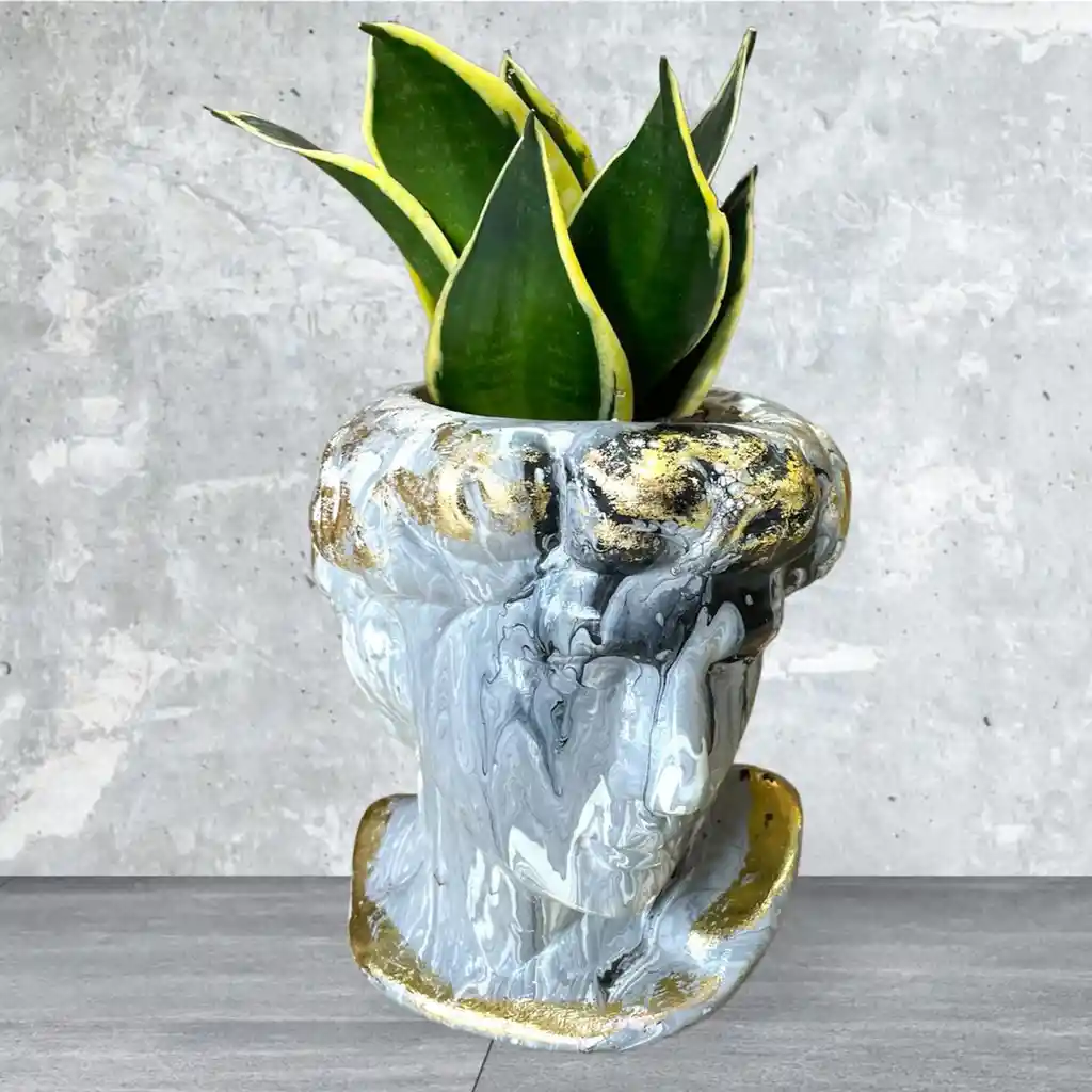 Planta Lengua De Suegra Mini En Matera De Ceramica Diseño El David