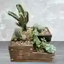 Terrario De Suculentas Y Cactus