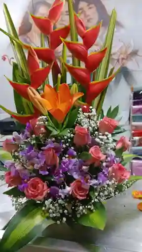 Arreglo Especial
