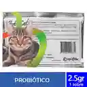 Probiocat Sobre Prebioticos Y Probioticos Probio Cat Sobre Flora Intestinal Para Mascotas Flora Gatos