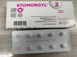 Stomorgyl 2 Blister De 10 Comprimidos Blister Stomorgyl