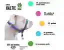 Collar Haltie M
