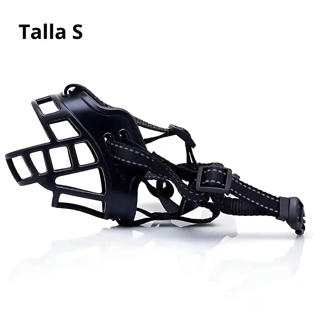 Bozal Talla # 1