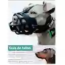 Bozal Talla # 1