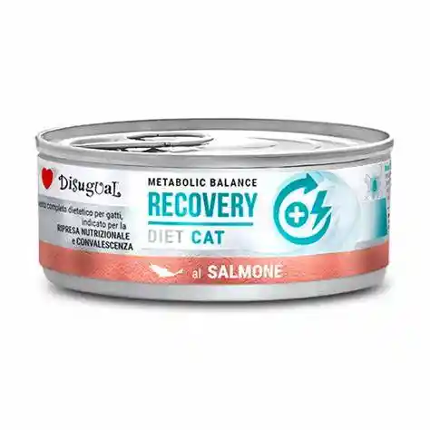 Disugual Cat Recovery Diet Salmon Lata Por 85 Gramos