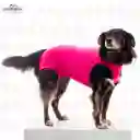 Faja Post-quirurgica Para Perros Basic Dry Light- Rosa Talla 06