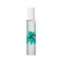 Fragancia Brumes Du Maroc Moroccanoil 100ml