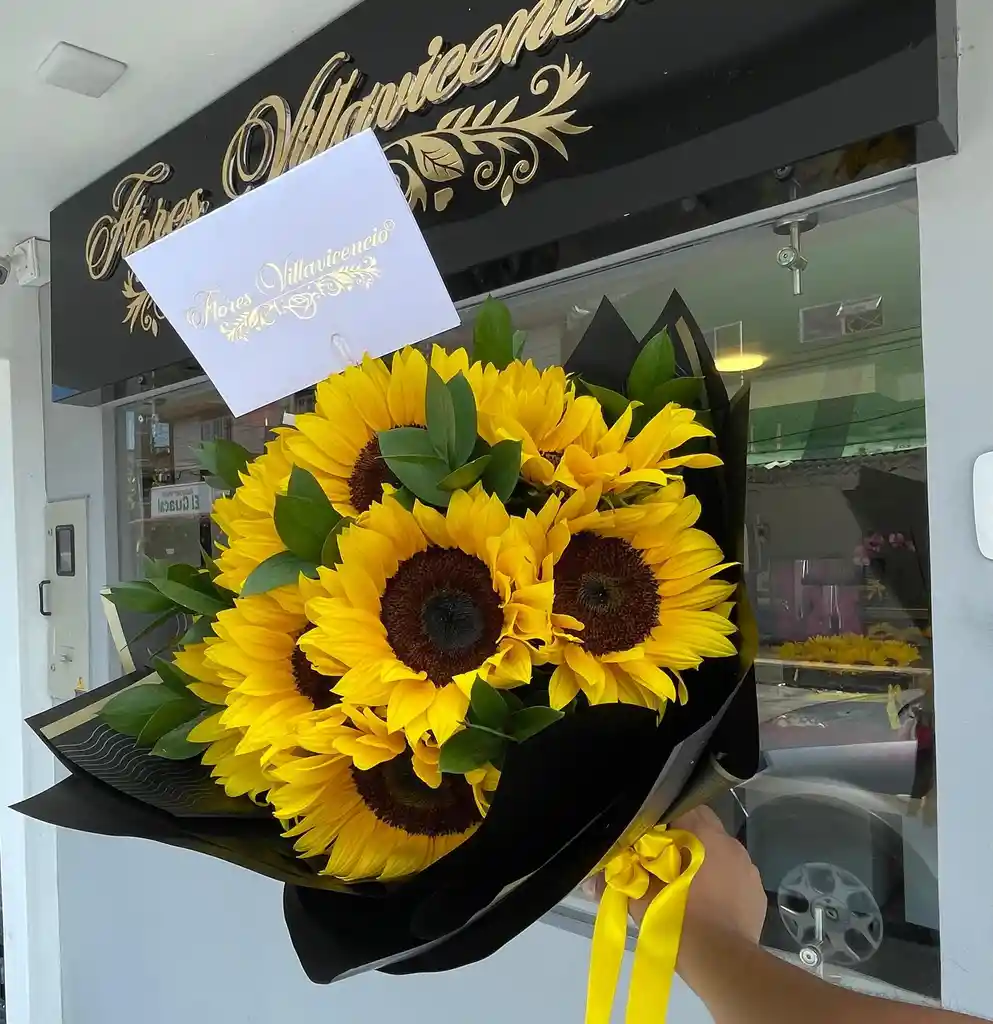 Buchon 12 Girasoles