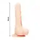 Arnes Lesbico Con Dildo Super Realista 18 Cm