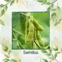 3 Semillas Orgánicas De Edamame