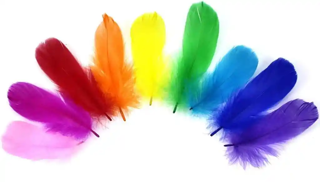 Plumas De Colores X10