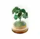 Árbol Cuarzo Jade Verde Encapsulado Energetico Decoracion