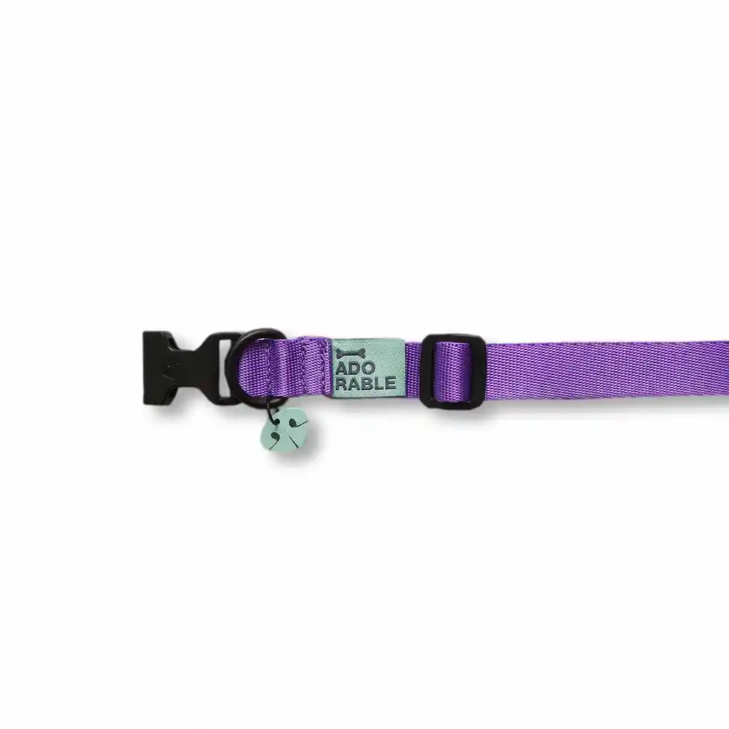 Collar M Unicolor Adorable Morado