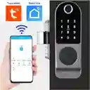 Cerradura Inteligente Tuya Smart Chapa Seguridad Táctil P01