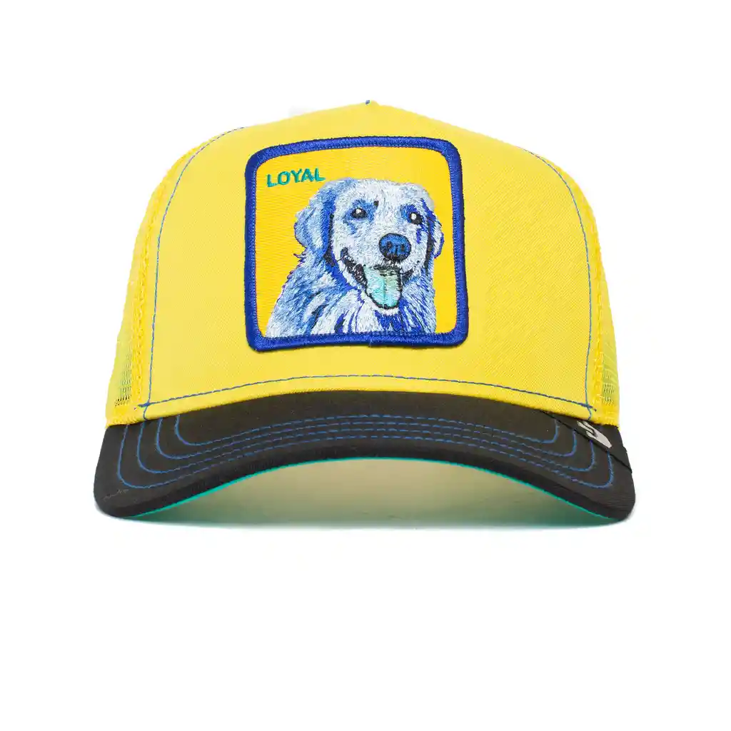 Loyal Perro Amarillo