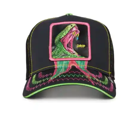 Dripp Serpiente - Black