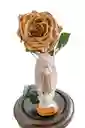 Rosa + Virgen De Guadalupe