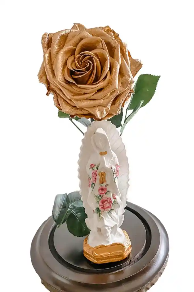 Rosa + Virgen De Guadalupe