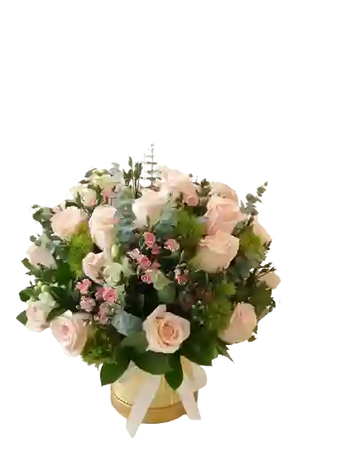 Caja De Rosas Elegancia De Nieve