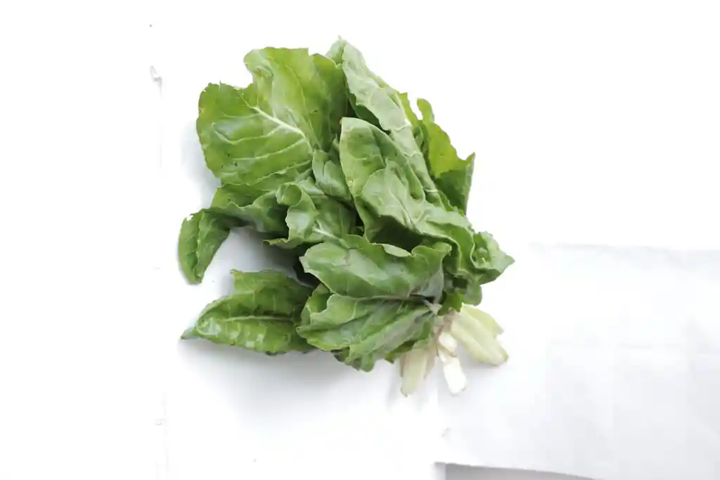 Acelga