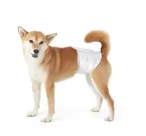 Pañal Talla L Presentación Por Unidad