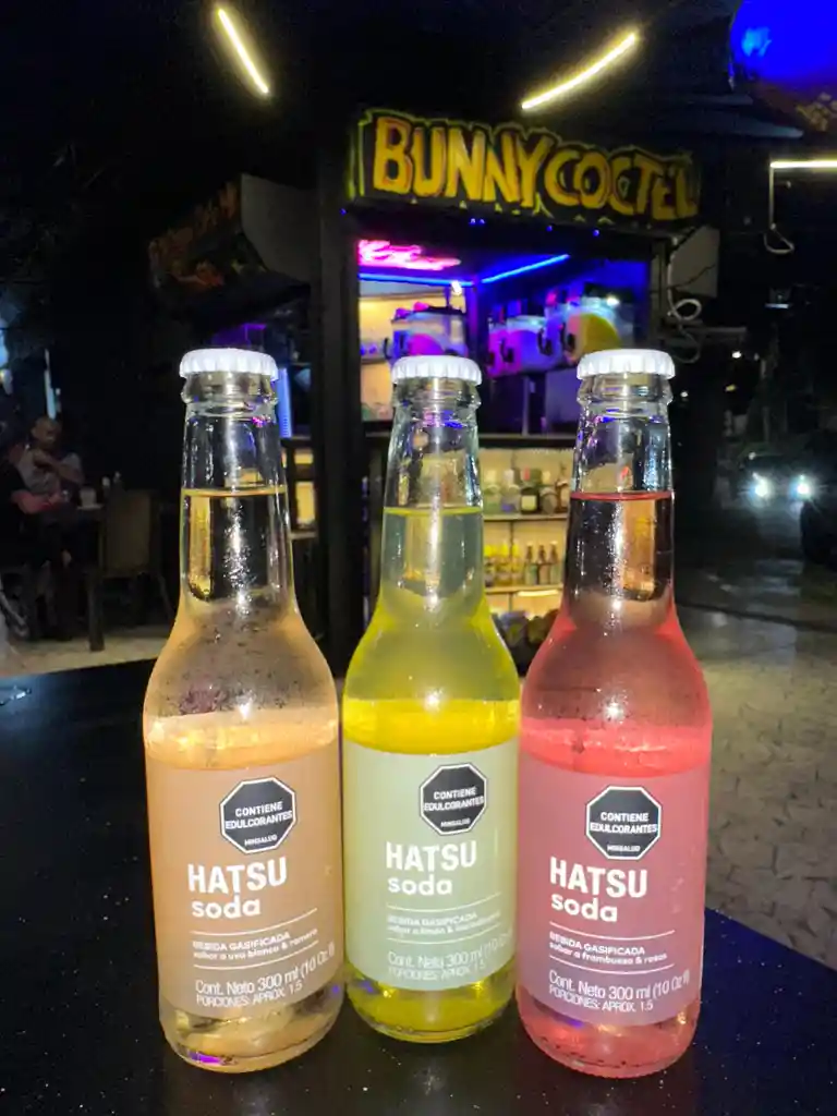 Soda Hatsu Frambuesa Y Rosas