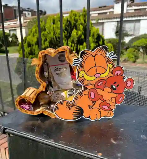 Regalo Caja Garfield