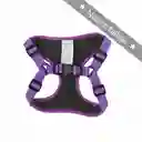 Pechera Xl Morado Borde Morado