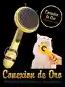 Cepillo Quita Pelusas Para Mascotas Abeja