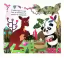 Libro Infantil Pop Up Canguro Amigos De La Jungla Para Niños