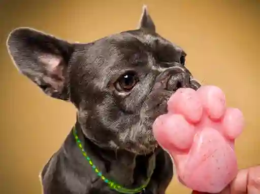Paleta Frutos Rojos Para Perros Dogs And Brunch