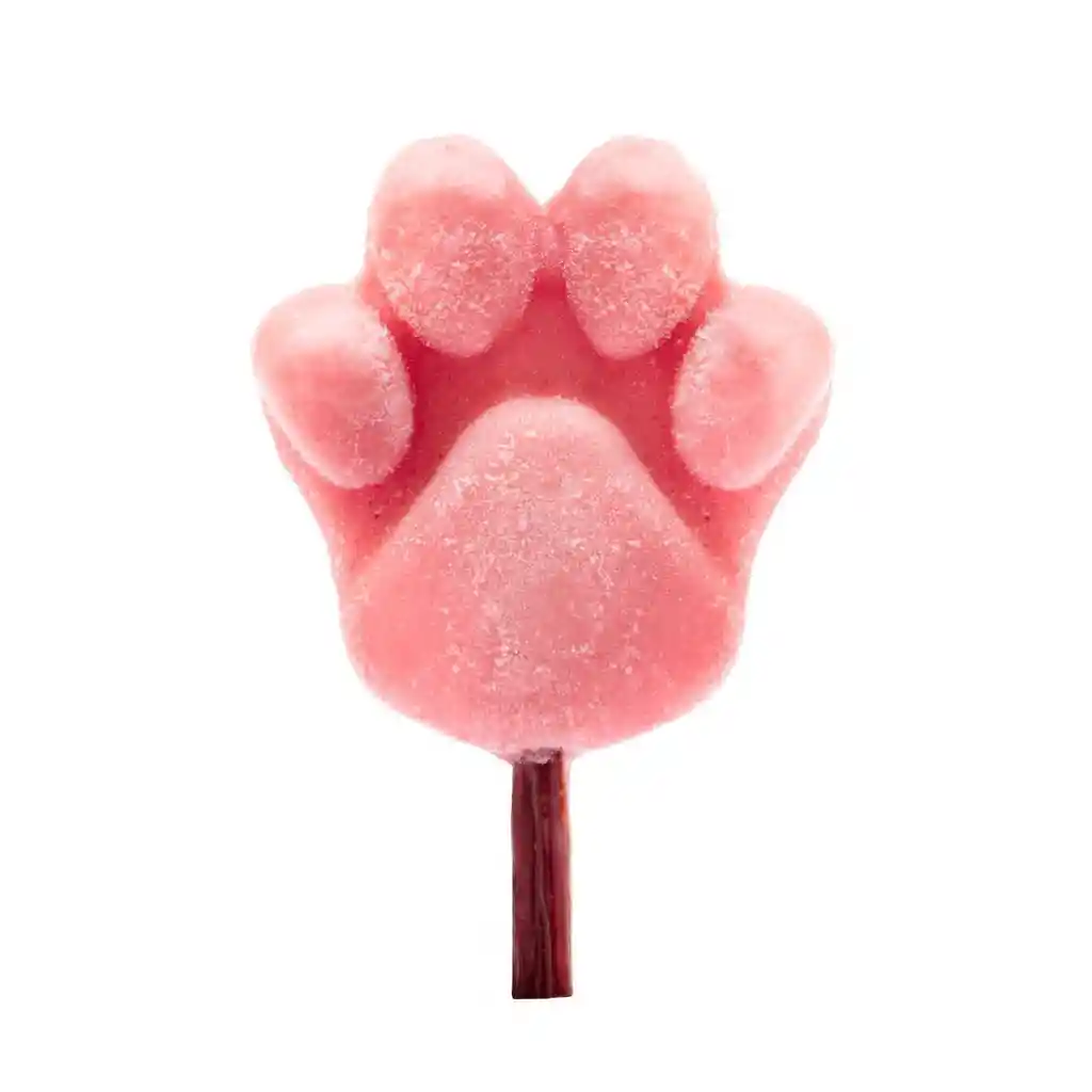 Paleta Frutos Rojos Para Perros Dogs And Brunch