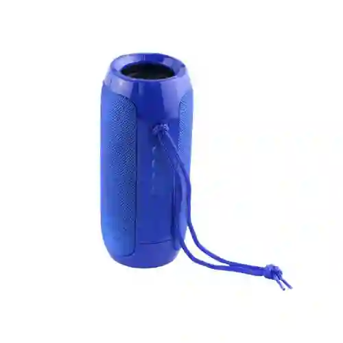 Parlante Altavoz Recargable Bluetooth Salpicable Tyg Radio Fm Tg-117 Colorazul