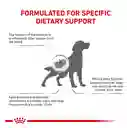 Royal Canin Renal Support F Dog