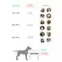 Comedero / Bebedero Wood Elevado - Medinao