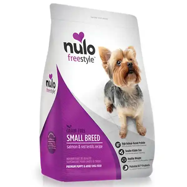 Nulo Small Breed Dog