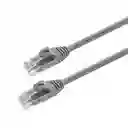 Cable Ethernet 2mts Gris