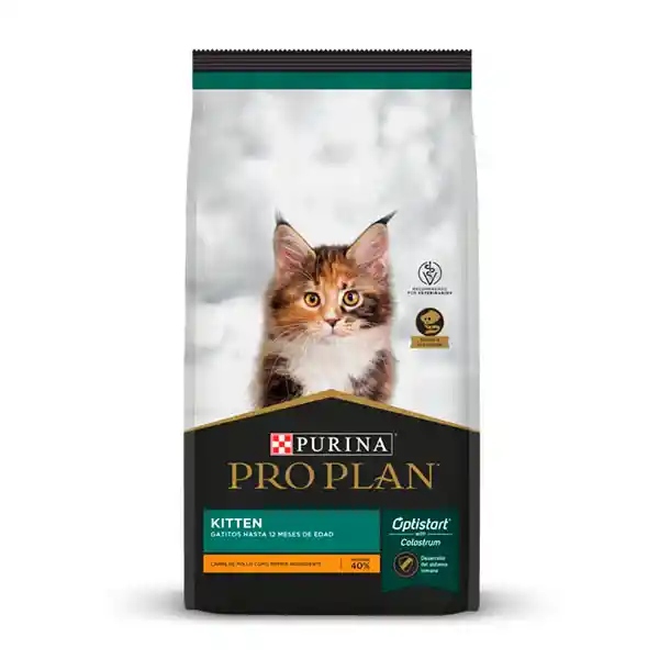 Pro Plan Kitten