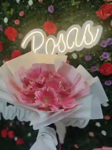 Gerbersas Rosadas