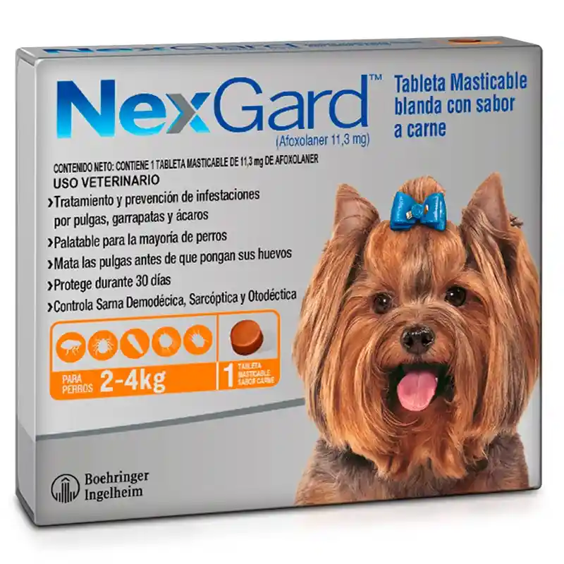 Nexgard Perro 2-4kg