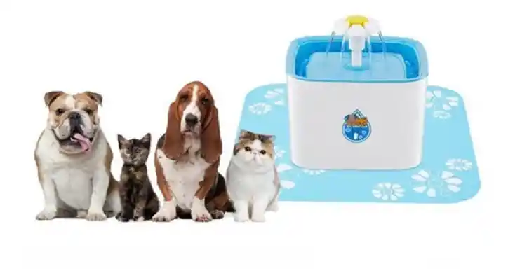 Fuente Bebedero De Agua Para Mascota Gatos Y Perros 2.5l