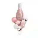 Bouquet Cheers