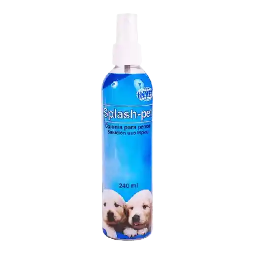 Splash Pet Dog 240 Ml