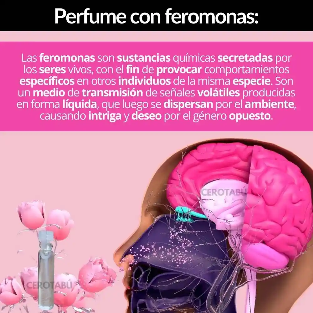 X6 Lubricante Estrechante Vaginal Rejuvenecedor + Feromonas