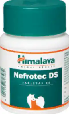 Nefrotec Ds X 1pastilla