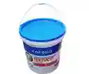 Estuco Plastico Interior Galon 6 Kg Textuco Corona