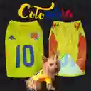 Camiseta Seleccion Colombia 2024 Talla 4