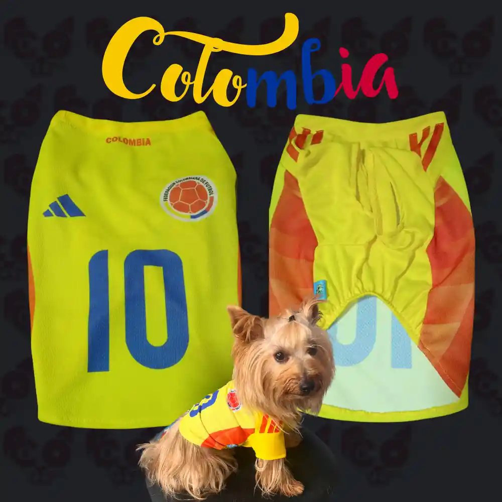 Camiseta Seleccion Colombia 2024 Talla 4